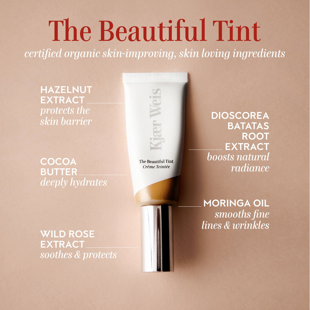 The Beautiful Tint / Medium 3