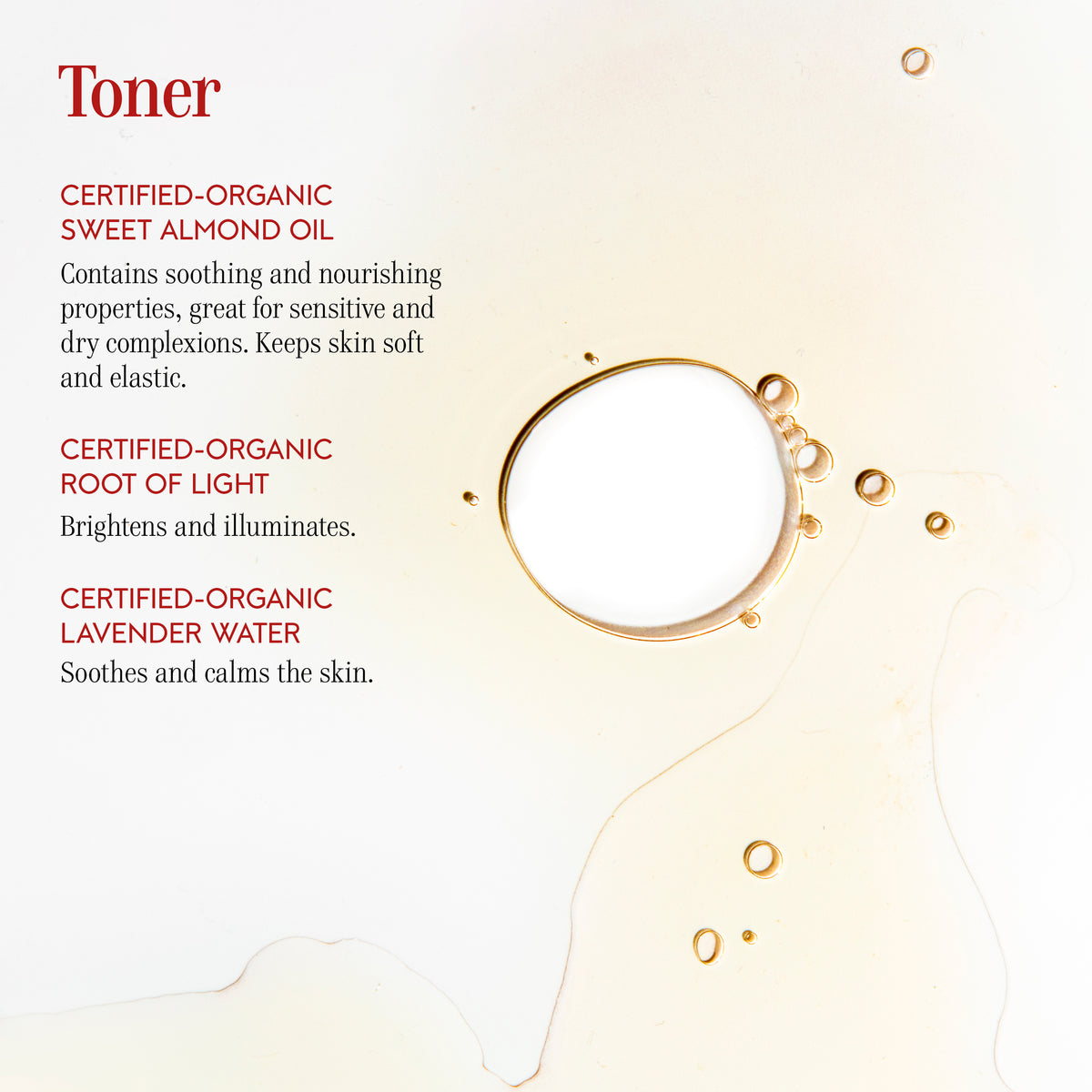The Toner / 100 ml
