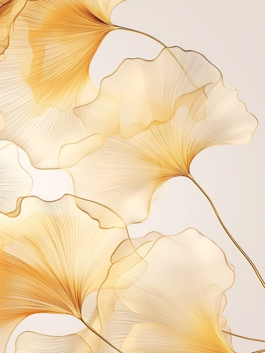 Ginkgo Biloba