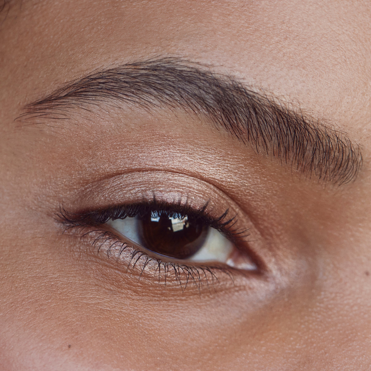 Cream Eye Shadow / Golden