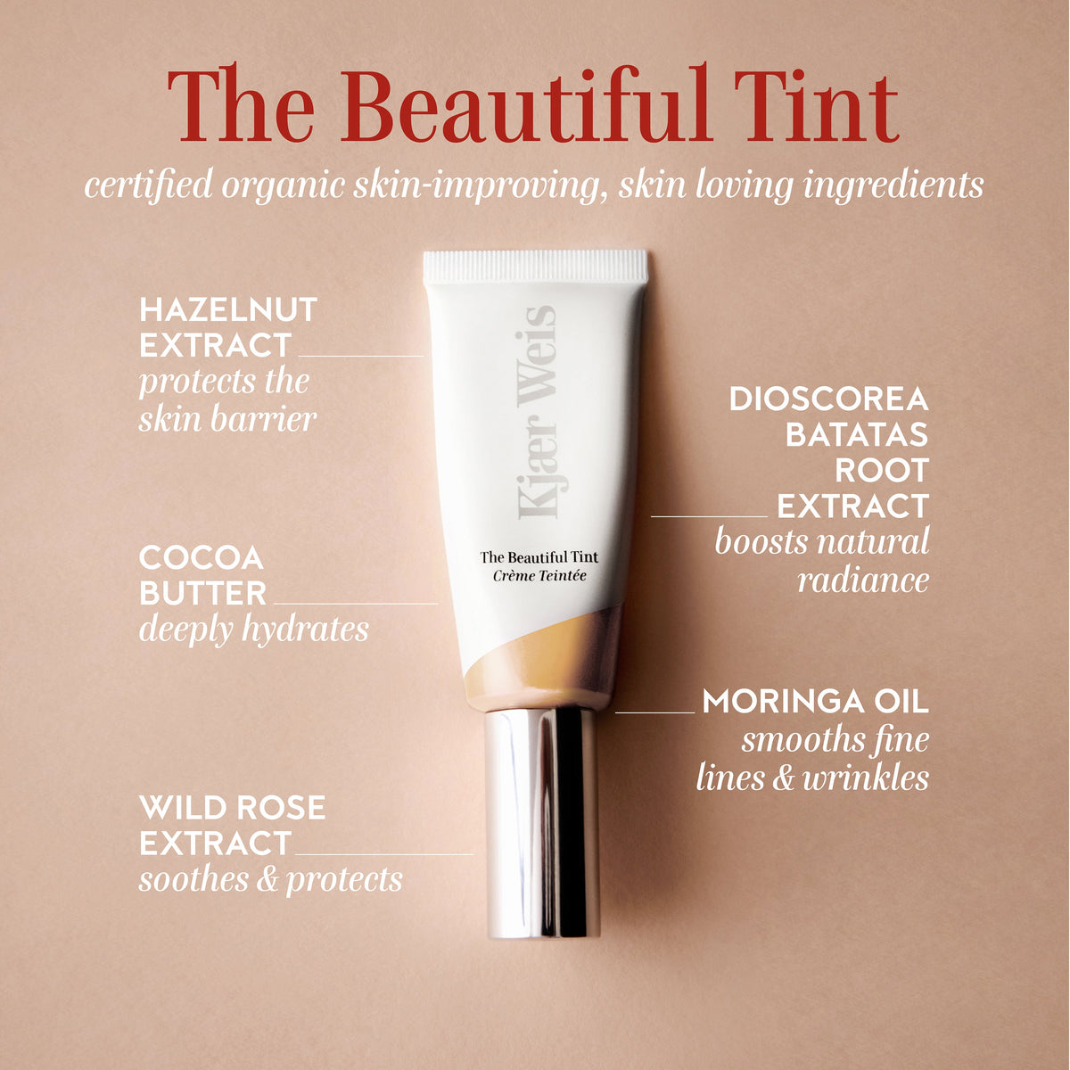 The Beautiful Tint / Fair 2