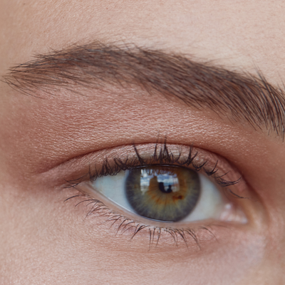 Cream Eye Shadow / Illuminated